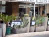 26_002 Cactus.jpg